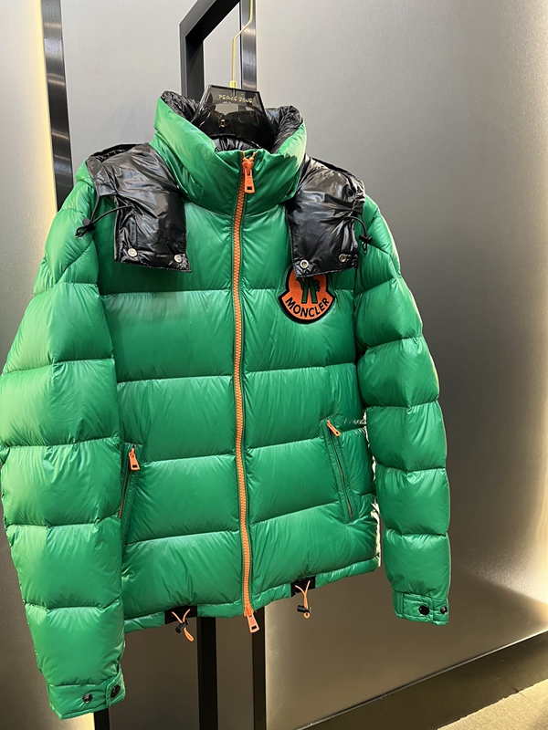 ハイクオリティダウンジャケット背面デザイン